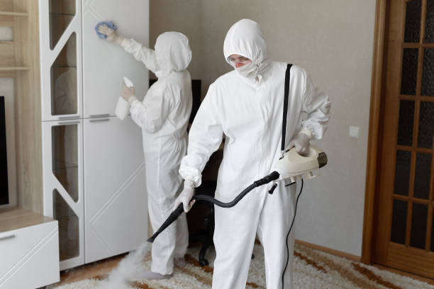 Best Mold Cleaning Services  in Charlevoix, MI