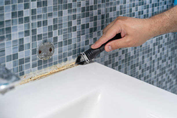 Reliable Charlevoix, MI Mold Removal Solutions