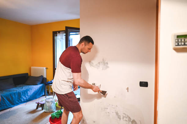 Best Mold Removal Specialists  in Charlevoix, MI