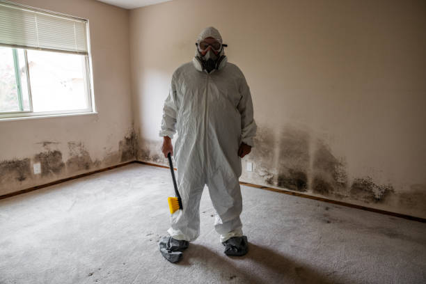 Best Emergency Mold Removal  in Charlevoix, MI